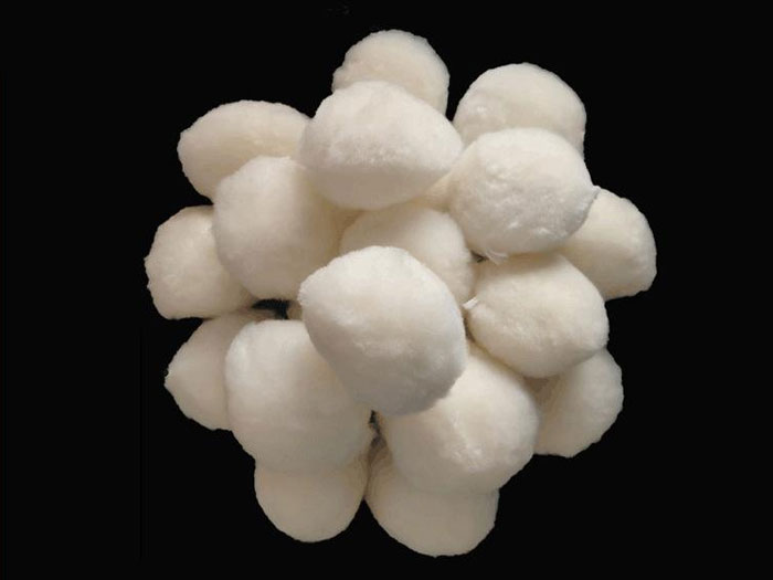 �����w�S��