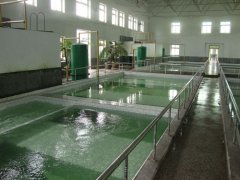   ���Ϸ���ˮ