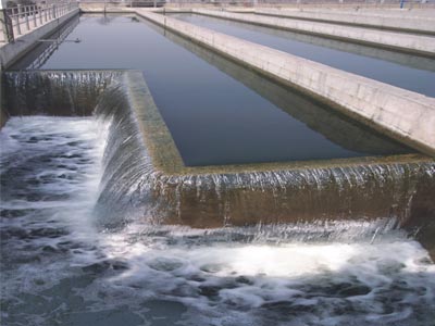 ���������ˮ̎�����g